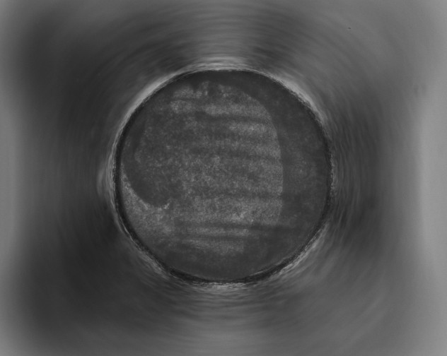 X0000094811325200712071217