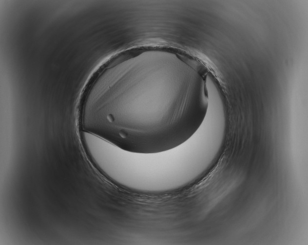 X0000094811326200712071217