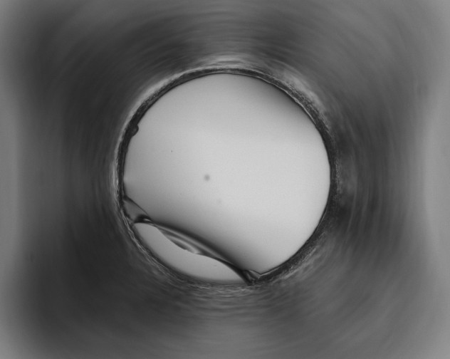 X0000094811328200712071217