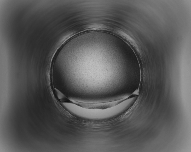 X0000094811330200712071218