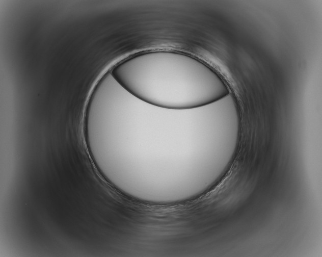 X0000094811332200712071218