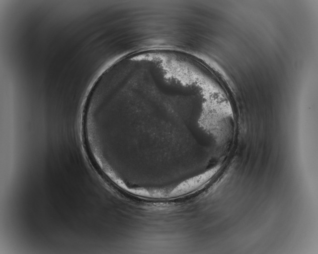 X0000094811333200712071218