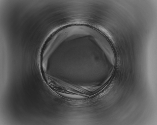 X0000094811334200712071218