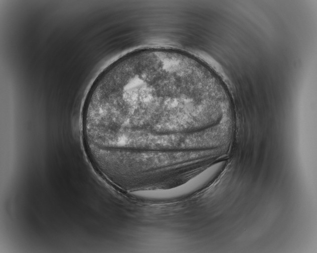 X0000094811335200712071218