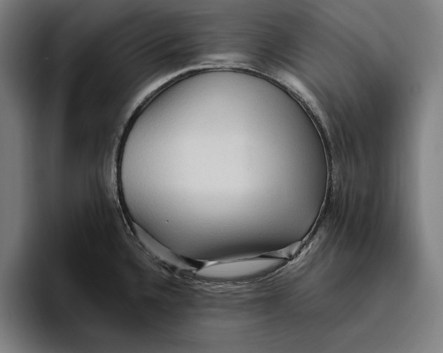 X0000094811336200712071218