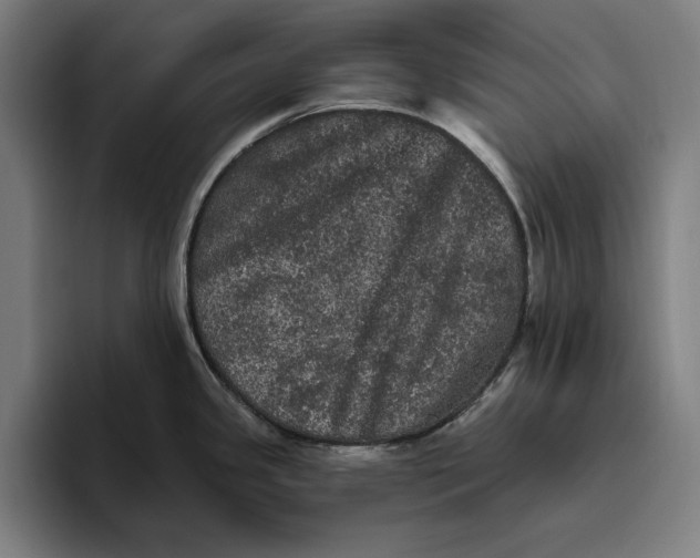 X0000094811341200712071218