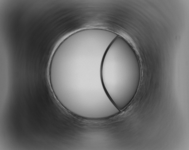 X0000094811344200712071218