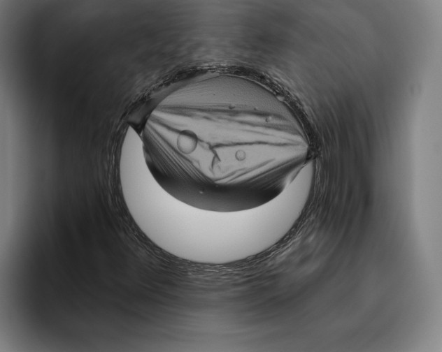 X0000094811348200712071217