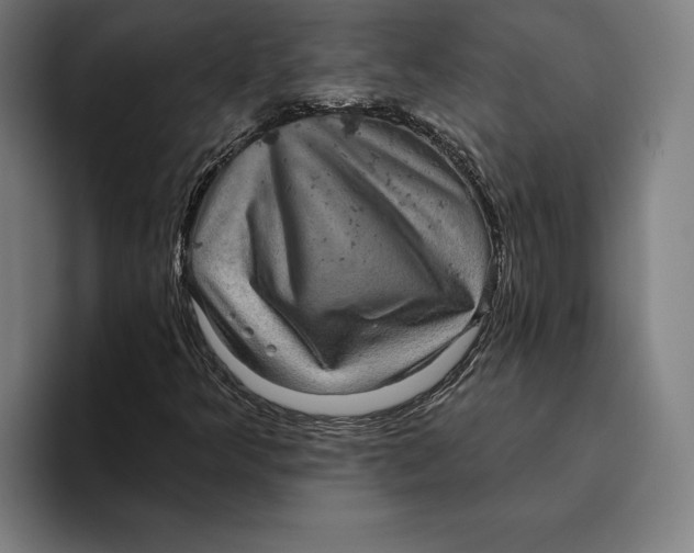 X0000094811349200712071217