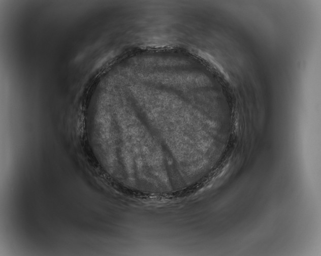 X0000094811350200712071217