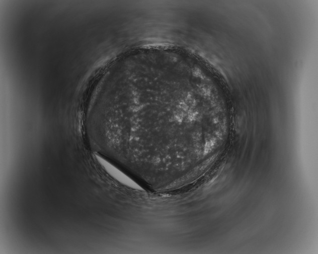 X0000094811351200712071217