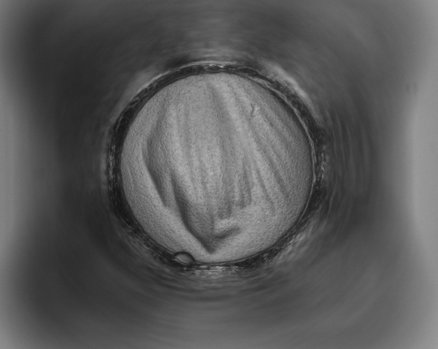 X0000094811352200712071217