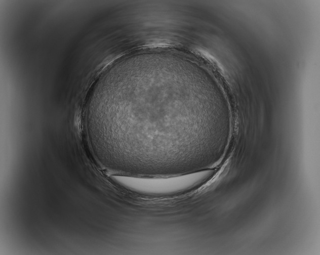 X0000094811353200712071217