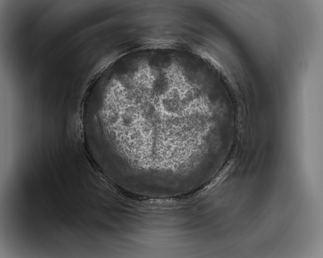 X0000094811354200712071217