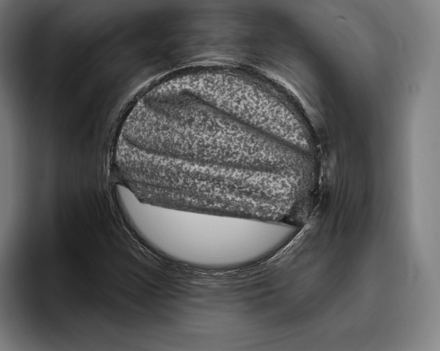 X0000094811355200712071217