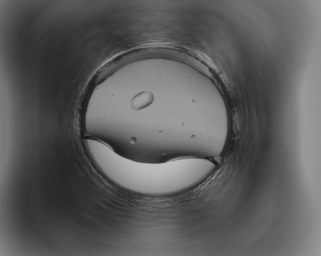 X0000094811356200712071217