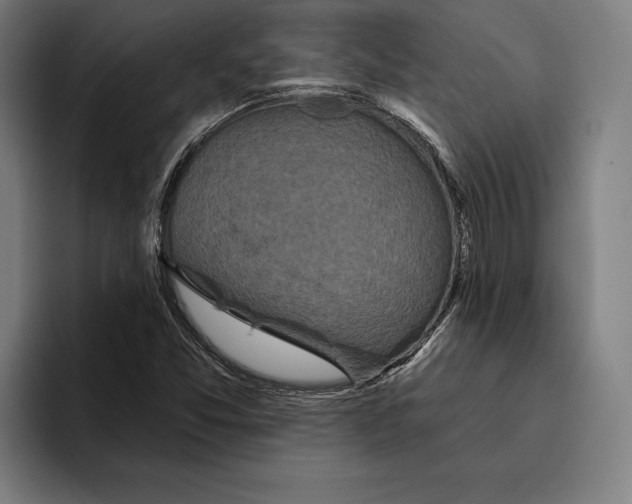 X0000094811357200712071217