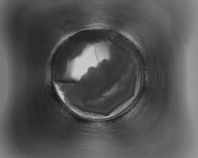 X0000094811358200712071217