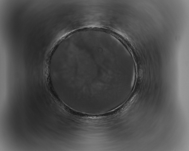 X0000094811359200712071217