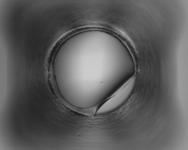 X0000094811360200712071217