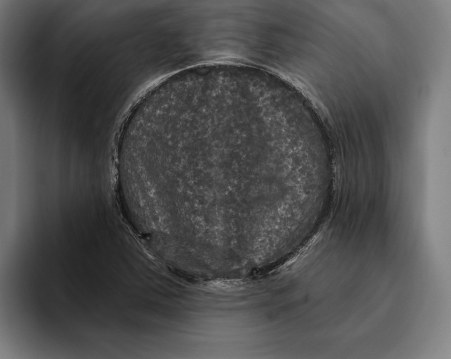 X0000094811363200712071217