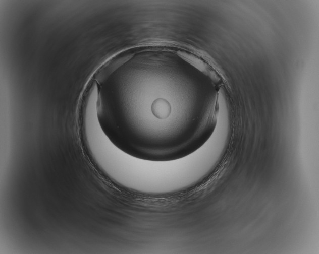 X0000094811364200712071217