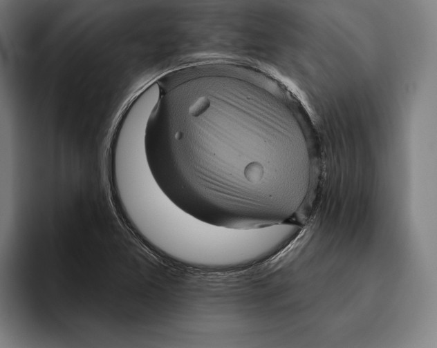 X0000094811365200712071217