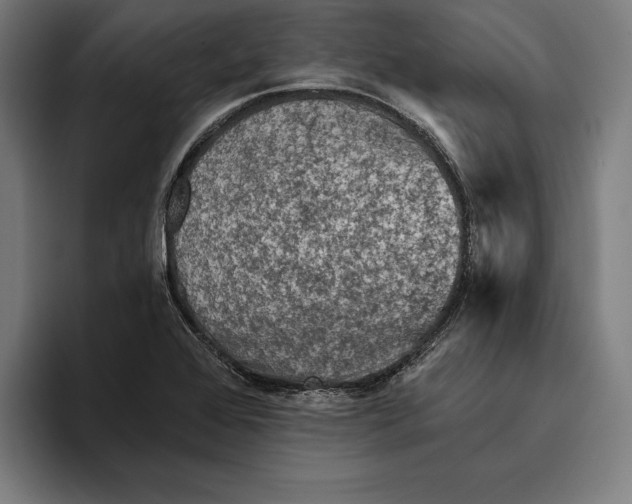 X0000094811368200712071217