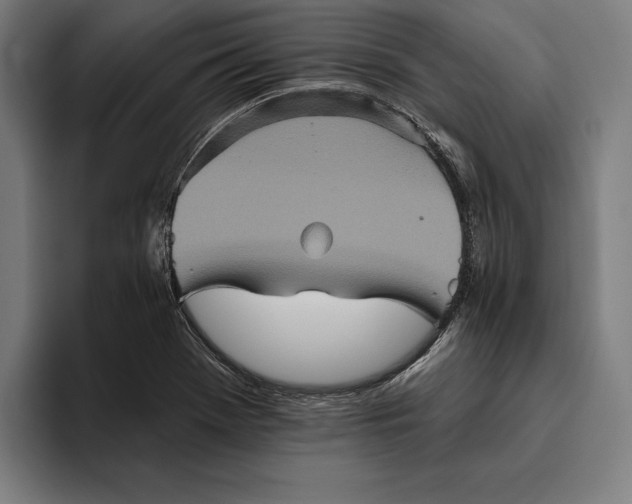 X0000094811369200712071217