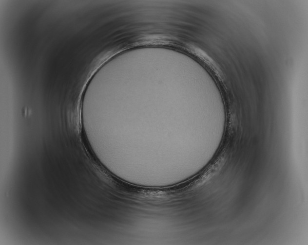 X0000094811370200712071217