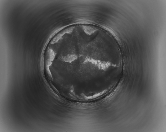 X0000094811371200712071217