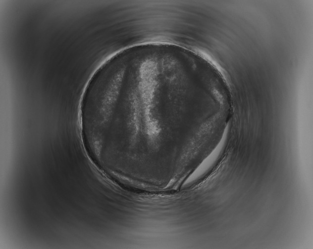 X0000094811372200712071217