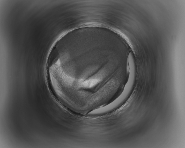 X0000094811373200712071217