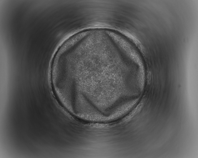 X0000094811374200712071217