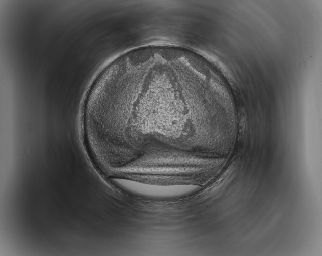 X0000094811375200712071217