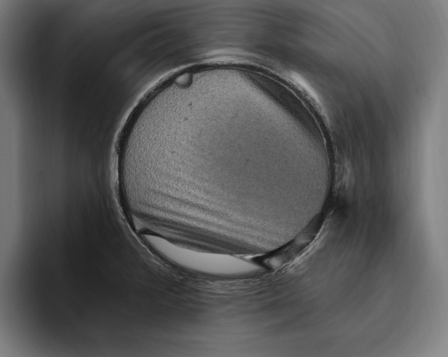 X0000094811376200712071217