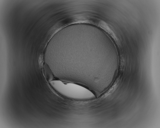 X0000094811377200712071217