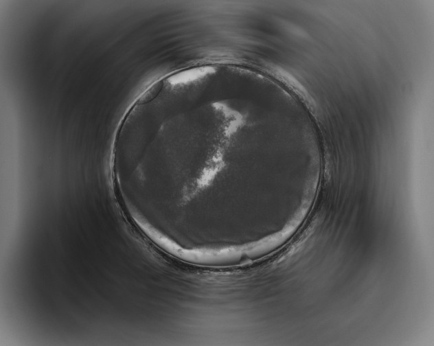 X0000094811378200712071217