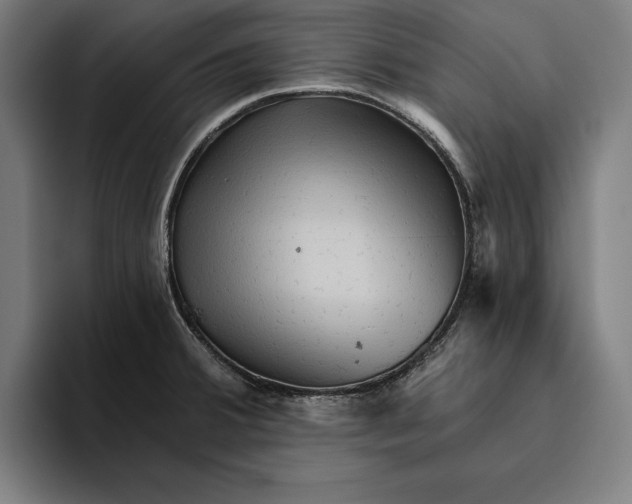 X0000094811380200712071217