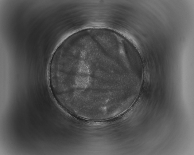 X0000094811382200712071217