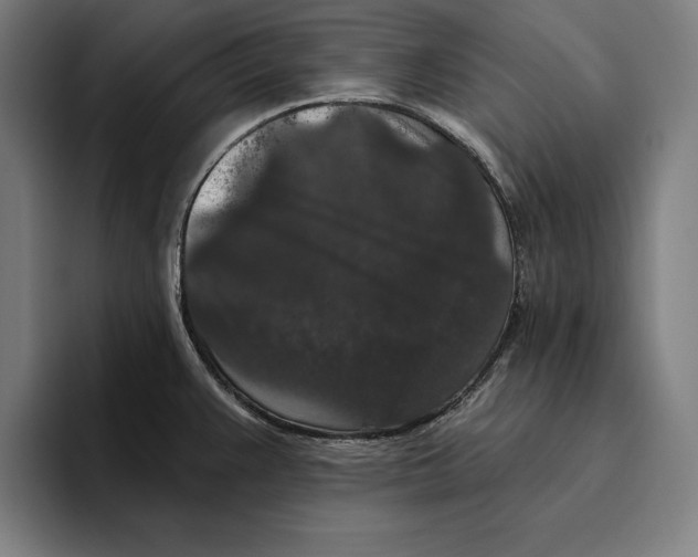 X0000094811383200712071217