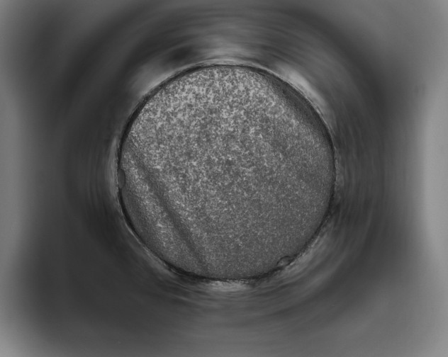 X0000094811384200712071217