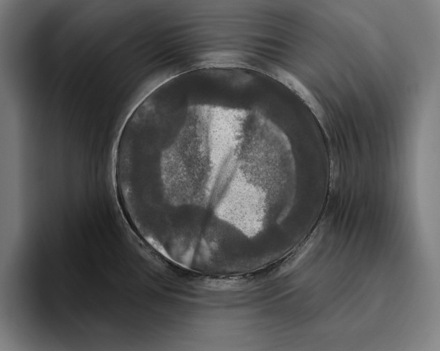 X0000094811386200712071217