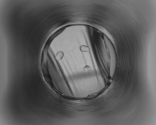 X0000094811388200712071217