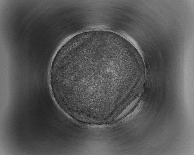 X0000094811389200712071217