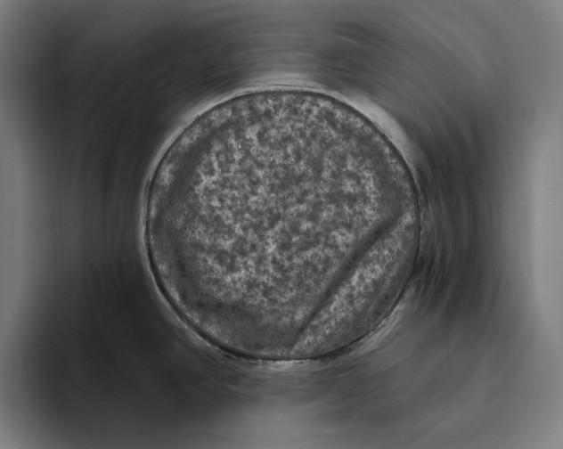 X0000094811390200712071216