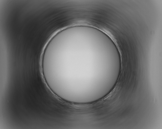 X0000094811392200712071216