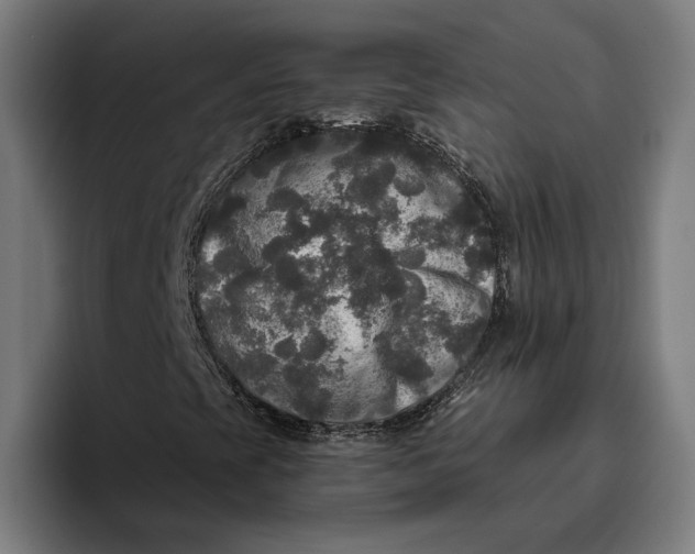 X0000094811393200712071216