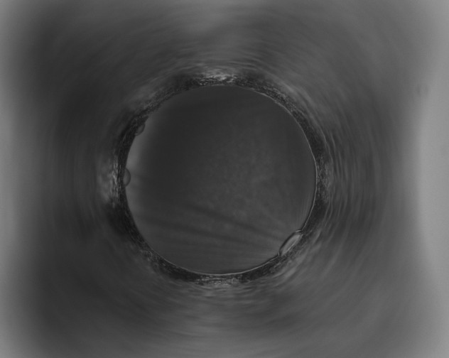 X0000094811394200712071216