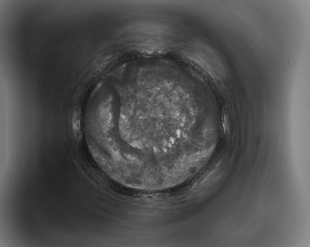 X0000094811396200712071216